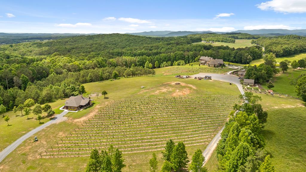 Lot 334 Twisted Oak Road Property Photo 25
