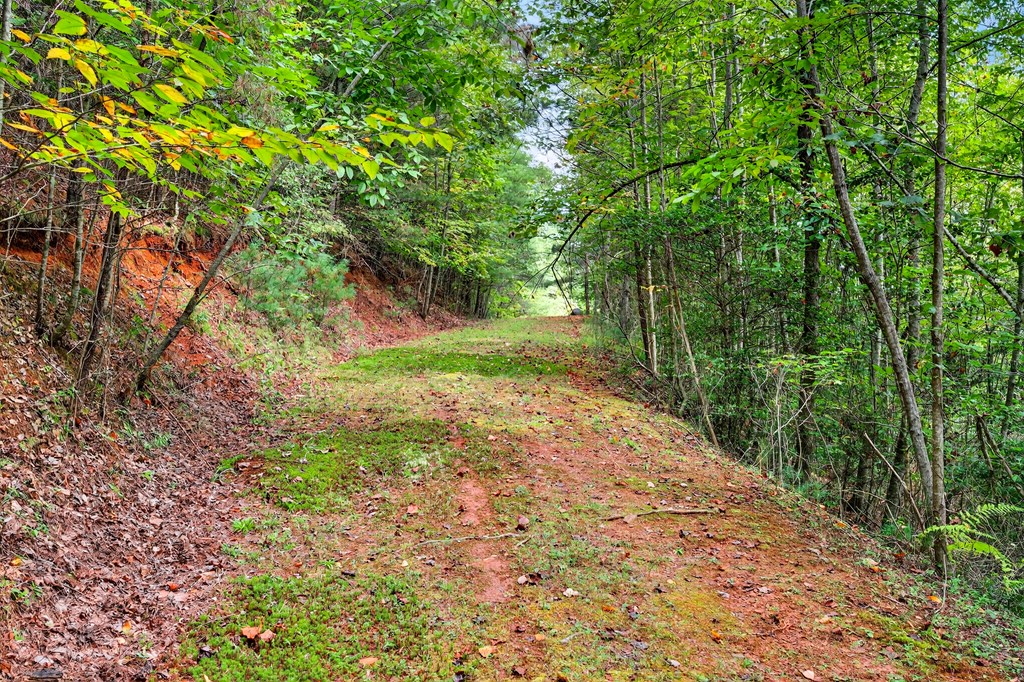 00 Hayden Lane Property Photo 10