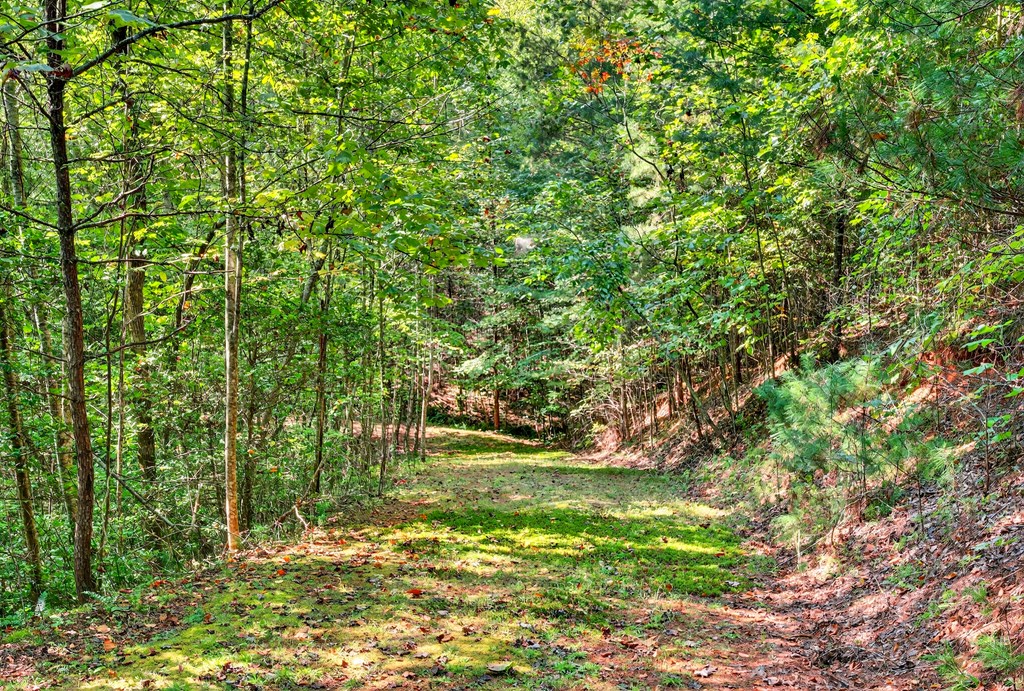 00 Hayden Lane Property Photo 11