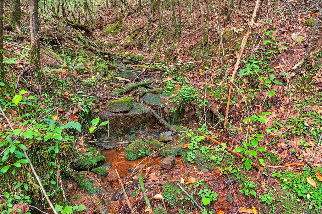 00 Hayden Lane Property Photo 12