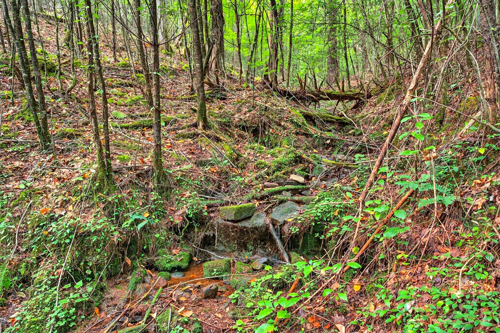 00 Hayden Lane Property Photo 13