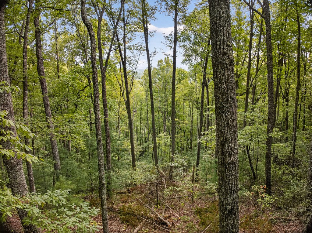 00 Hayden Lane Property Photo 14