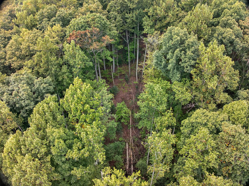 00 Hayden Lane Property Photo 19