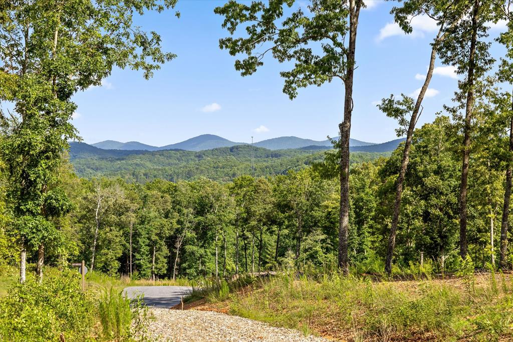 Lot 85 Split Creek Road Property Photo 1