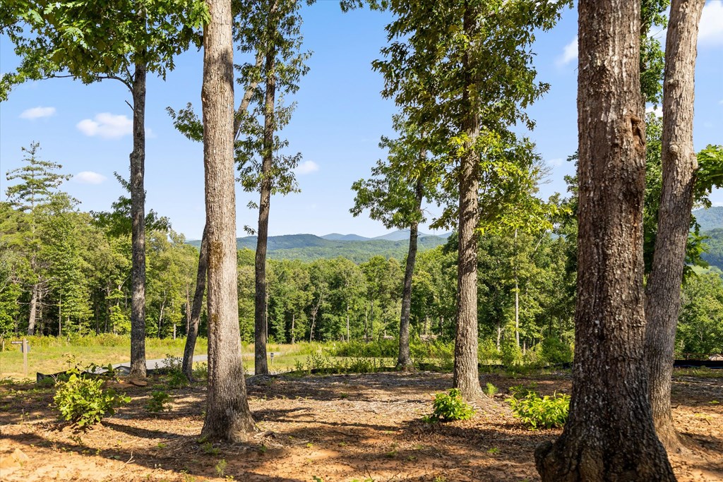 Lot 85 Split Creek Road Property Photo 2
