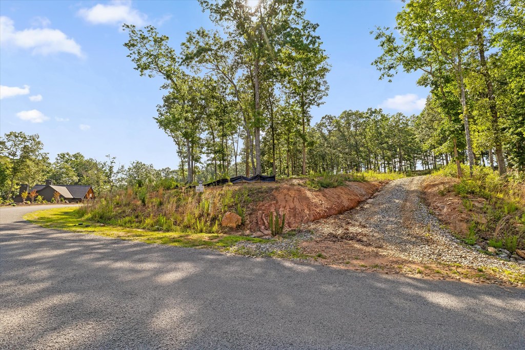Lot 85 Split Creek Road Property Photo 3