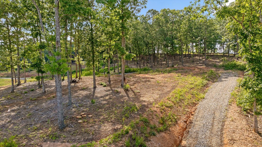 Lot 85 Split Creek Road Property Photo 4