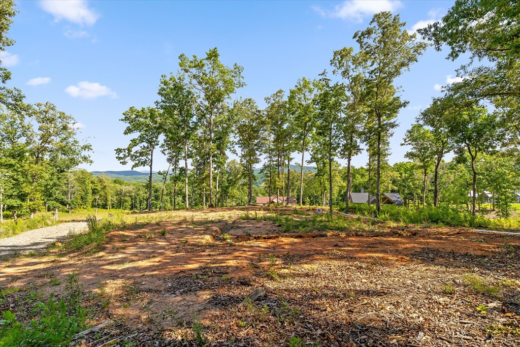 Lot 85 Split Creek Road Property Photo 5
