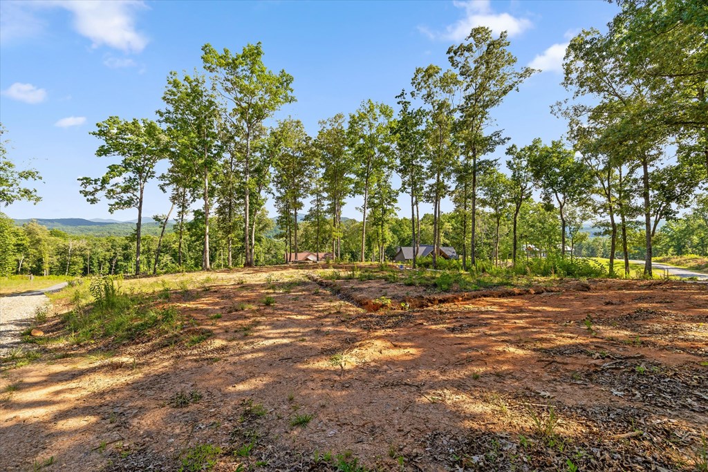 Lot 85 Split Creek Road Property Photo 6