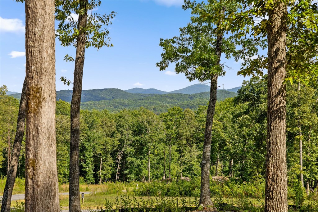 Lot 85 Split Creek Road Property Photo 7
