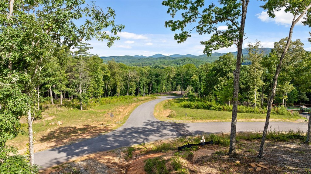 Lot 85 Split Creek Road Property Photo 8