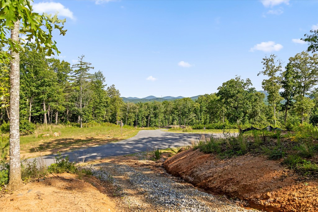 Lot 85 Split Creek Road Property Photo 9