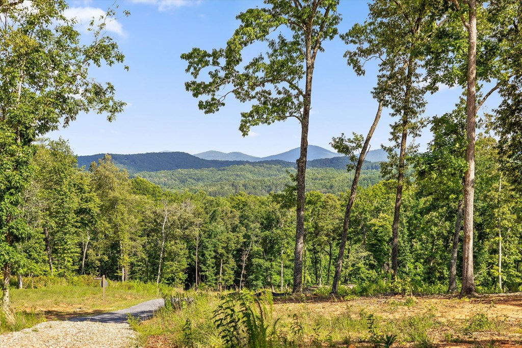 Lot 85 Split Creek Road Property Photo 10