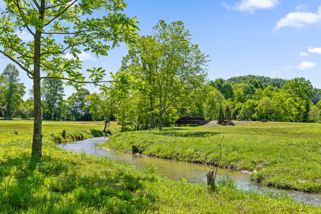 Lot 85 Split Creek Road Property Photo 22