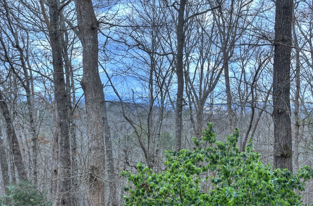 788 Lake Forest Drive Property Photo 3