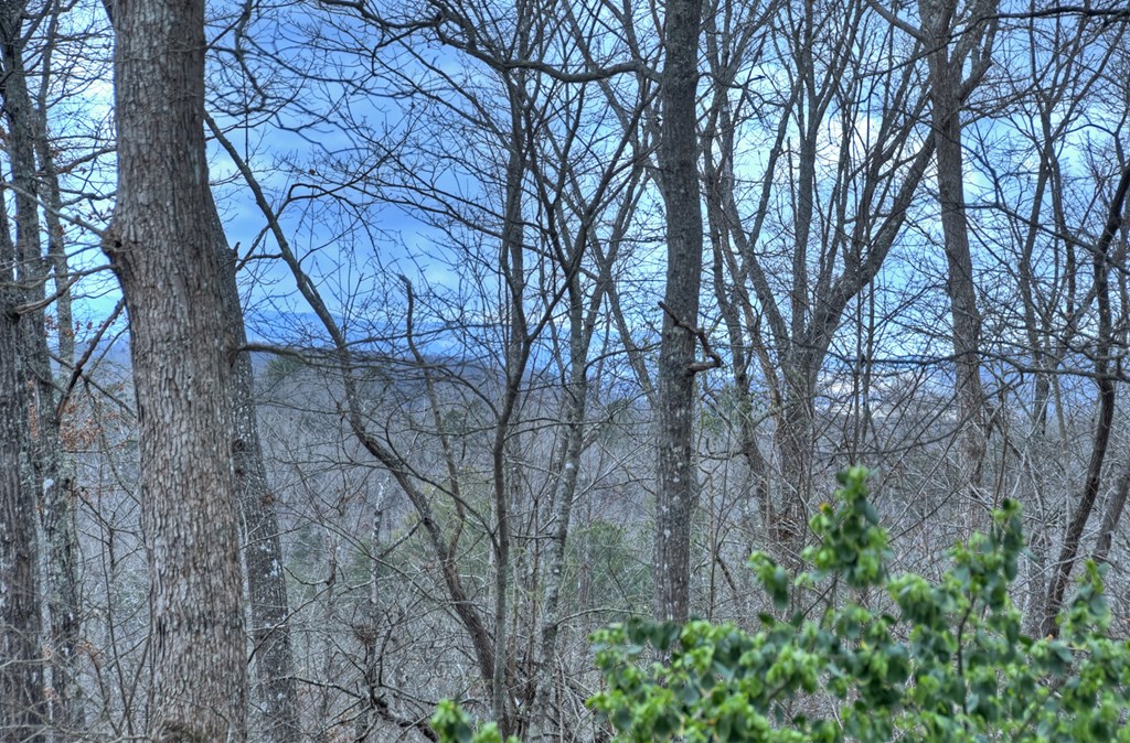 788 Lake Forest Drive Property Photo 4