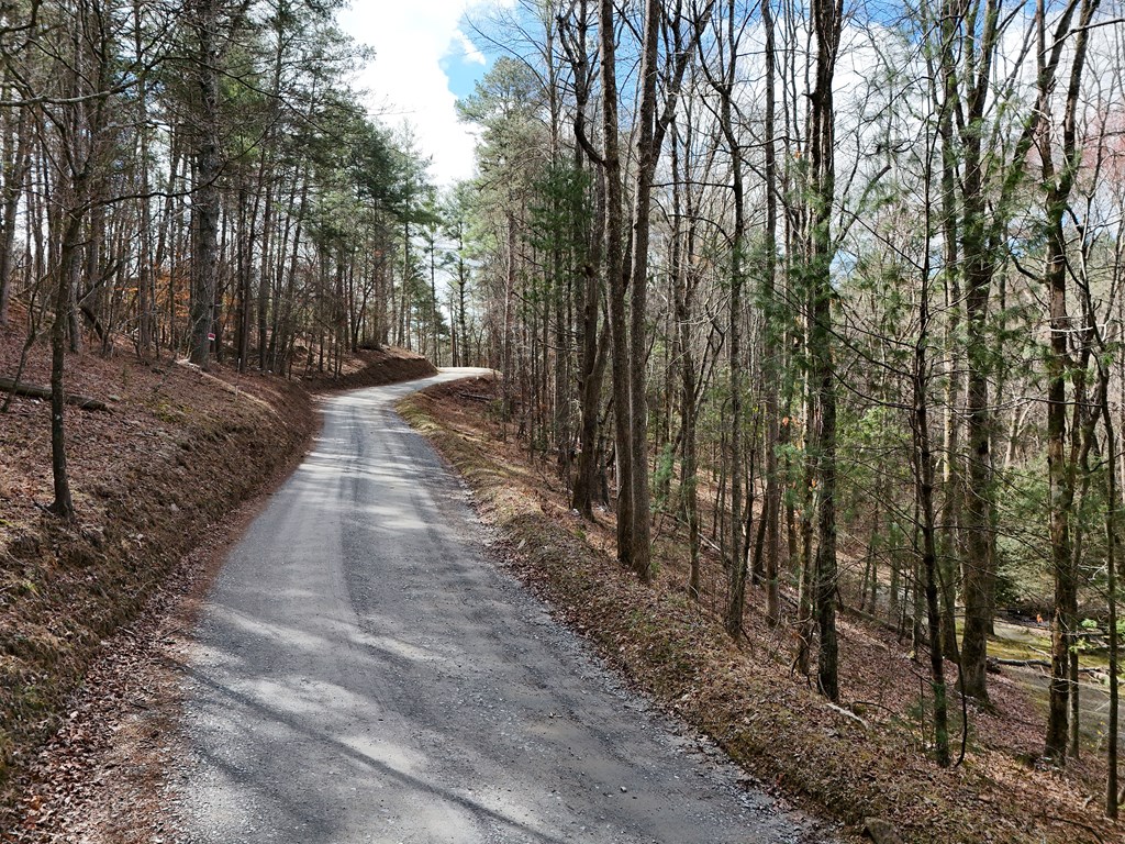 Lot 44a Synacia Drive Property Photo 19