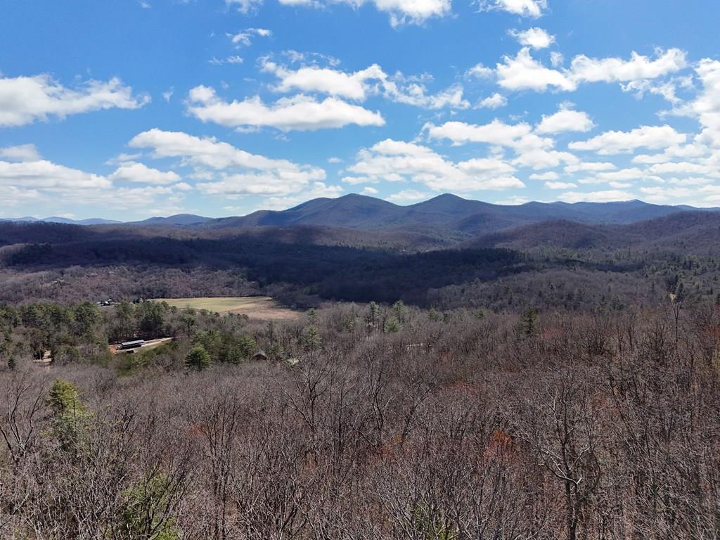 Lot 12 Native Trail Property Photo 1