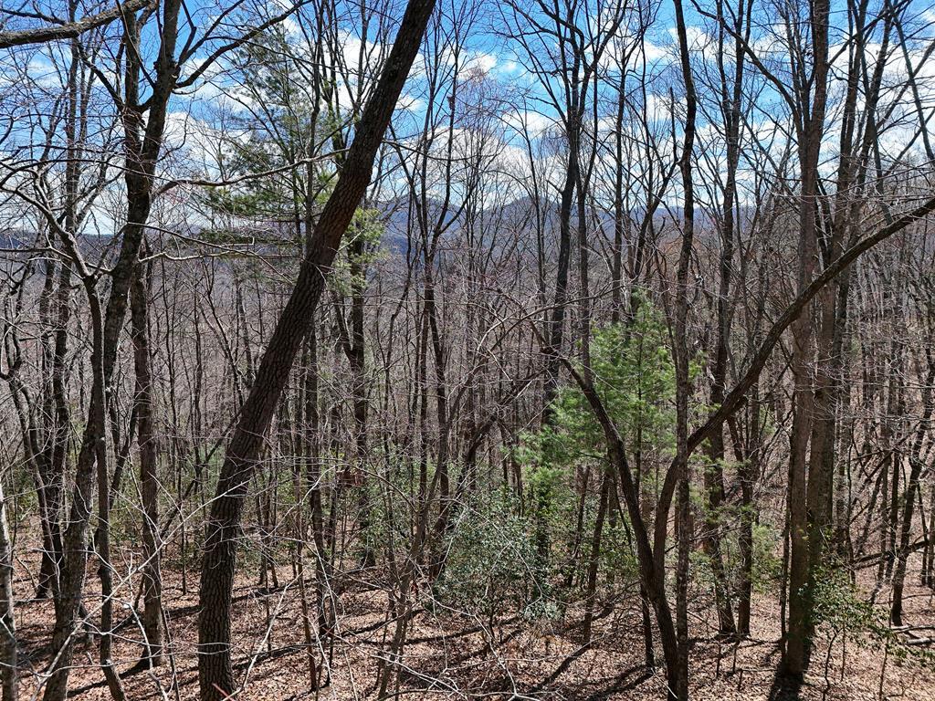 Lot 12 Native Trail Property Photo 2