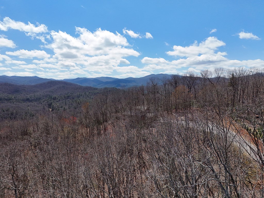 Lot 12 Native Trail Property Photo 3