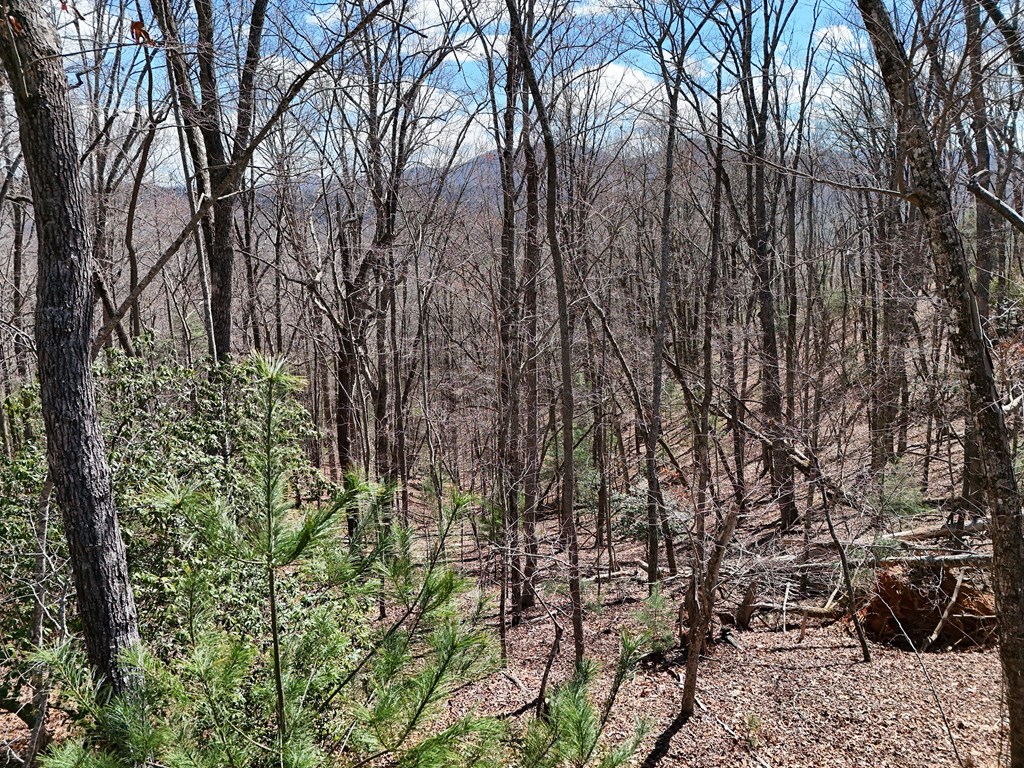 Lot 12 Native Trail Property Photo 4