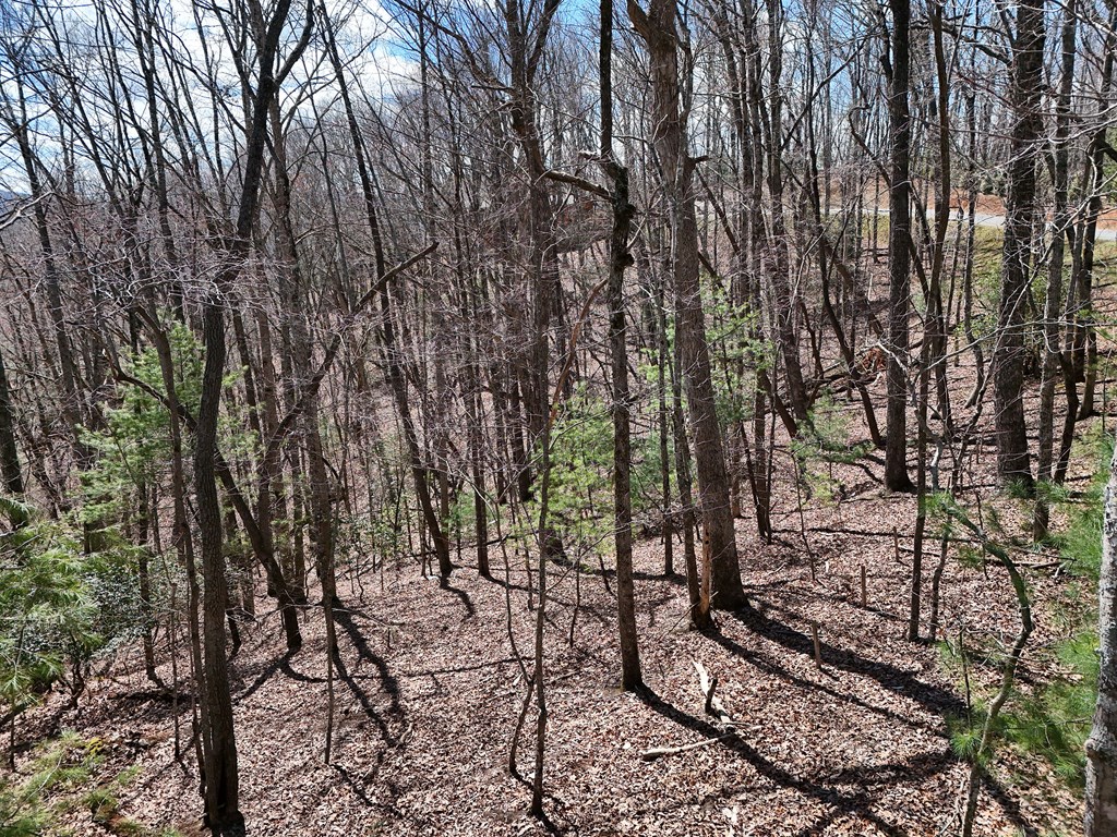 Lot 12 Native Trail Property Photo 5