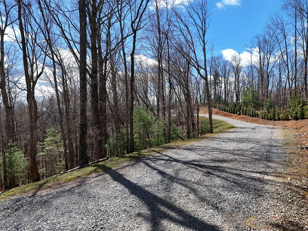 Lot 12 Native Trail Property Photo 6