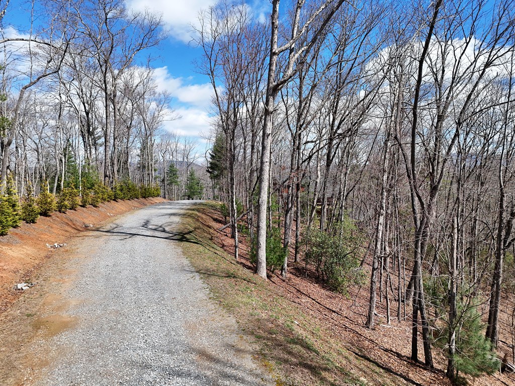 Lot 12 Native Trail Property Photo 7