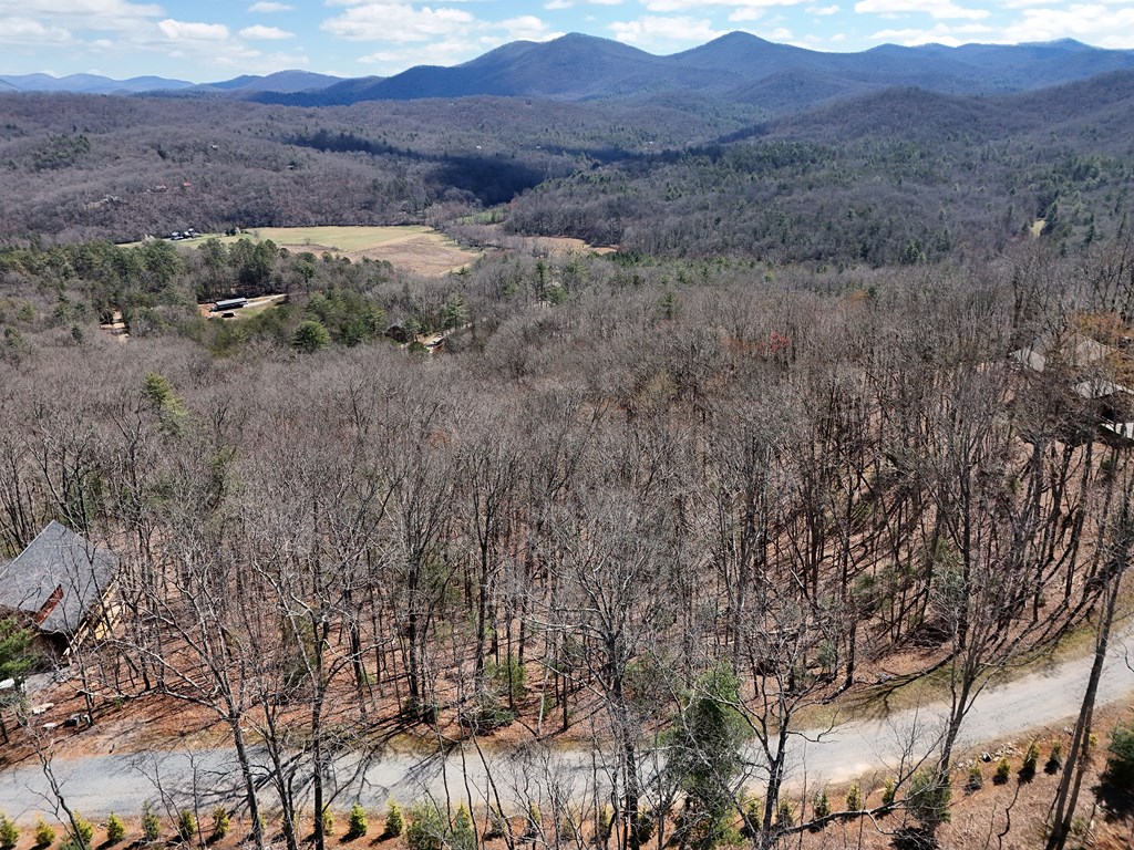 Lot 12 Native Trail Property Photo 8