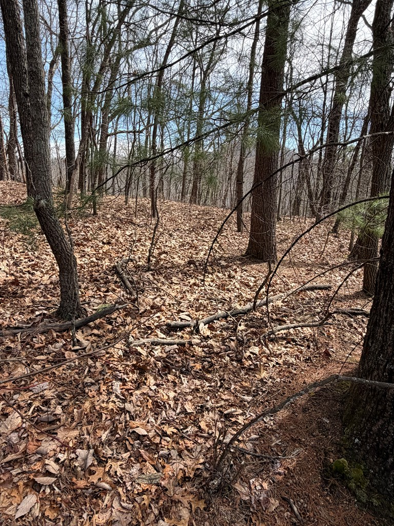 7.26 Ac Panorama Drive Property Photo 6