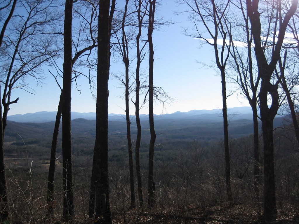 7.26 Ac Panorama Drive Property Photo 10