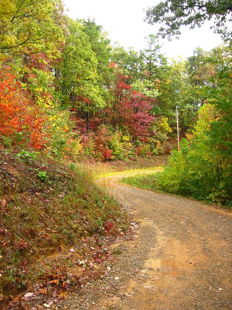 7.26 Ac Panorama Drive Property Photo 11