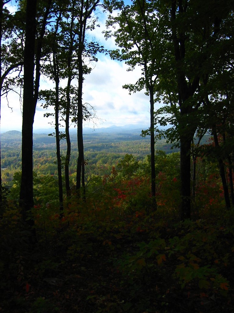 7.26 Ac Panorama Drive Property Photo 12