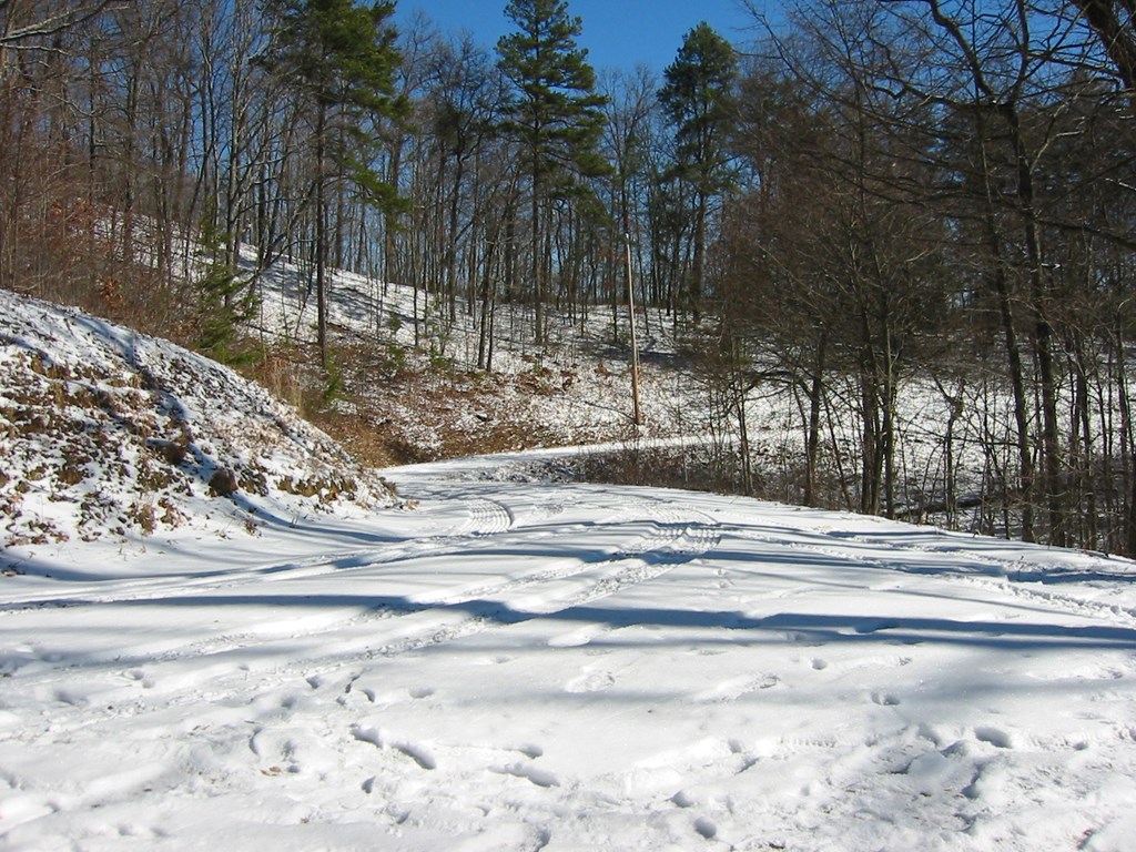 7.26 Ac Panorama Drive Property Photo 13