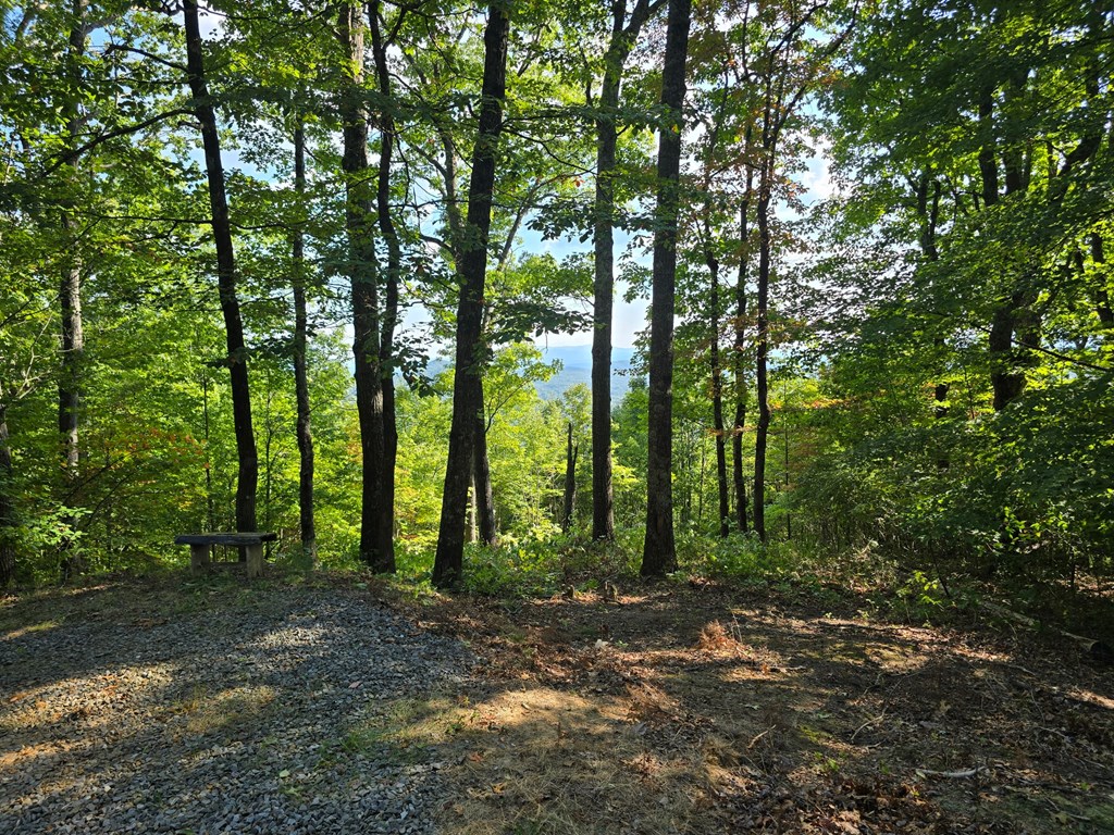 7.26 Ac Panorama Drive Property Photo 14