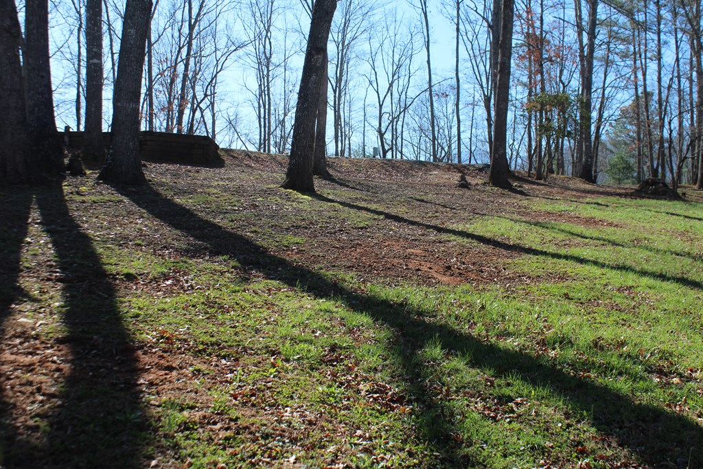1017 Laurel Branch Road Property Photo 2