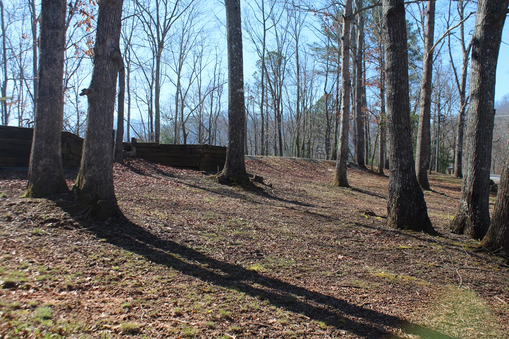 1017 Laurel Branch Road Property Photo 3