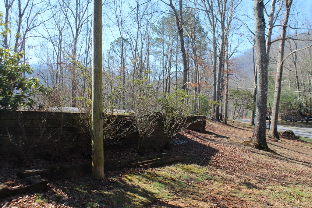 1017 Laurel Branch Road Property Photo 4