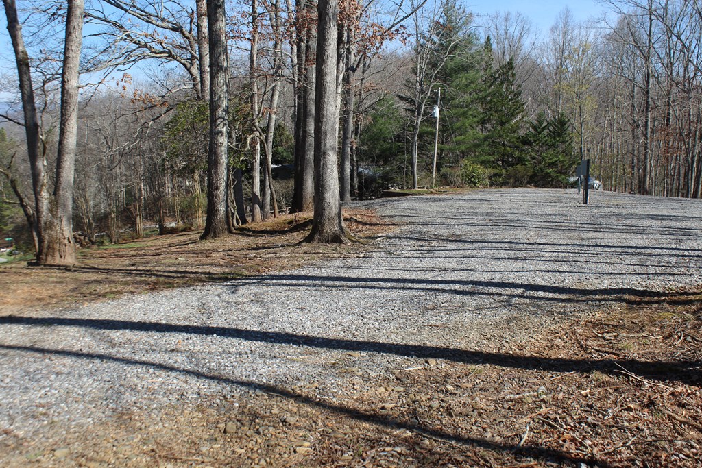 1017 Laurel Branch Road Property Photo 5