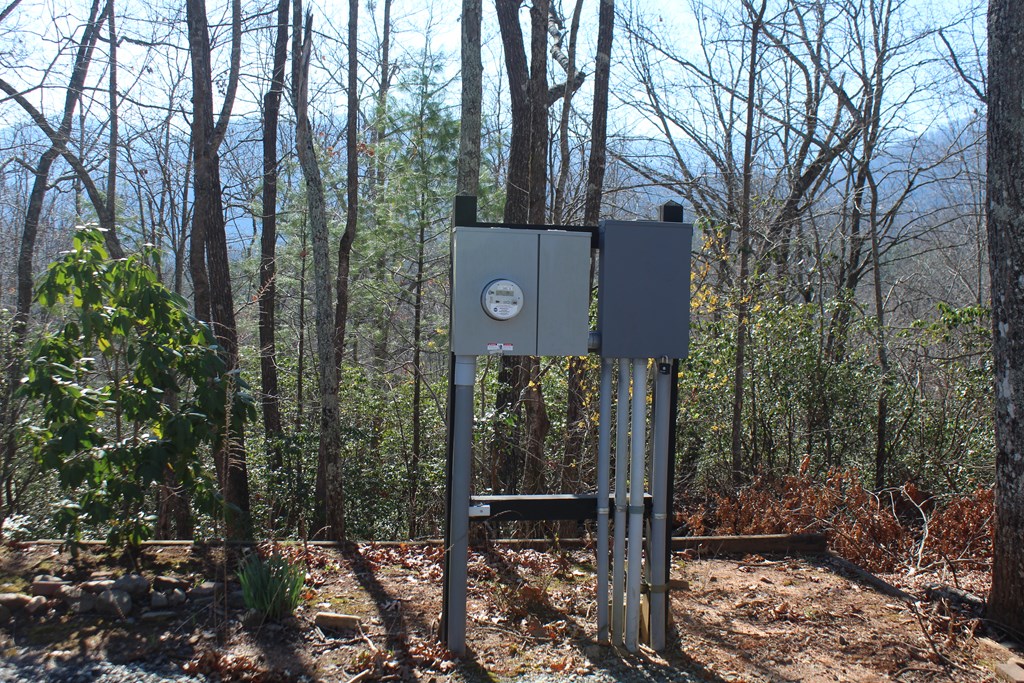 1017 Laurel Branch Road Property Photo 8