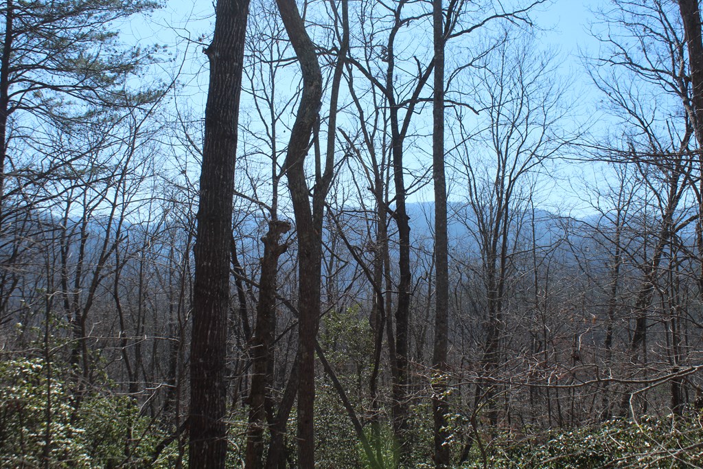 1017 Laurel Branch Road Property Photo 13