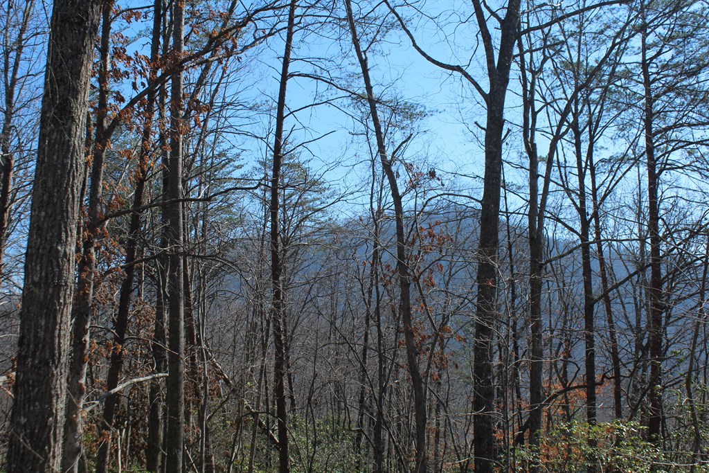 1017 Laurel Branch Road Property Photo 15