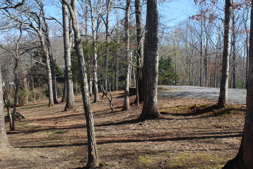 1017 Laurel Branch Road Property Photo 16