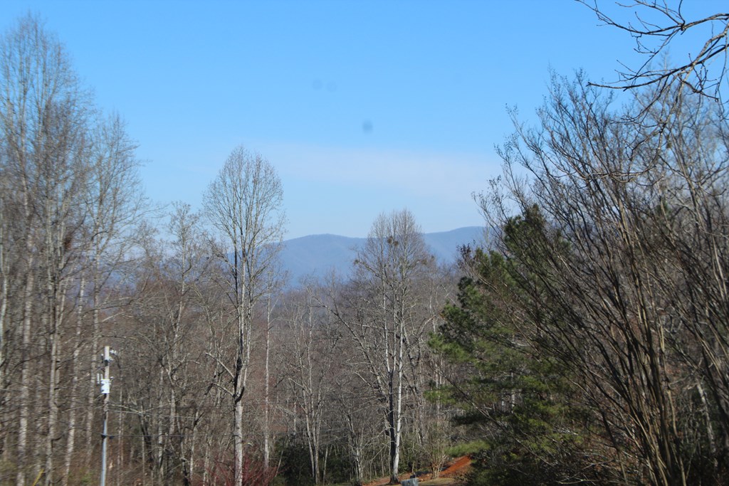 1017 Laurel Branch Road Property Photo 17