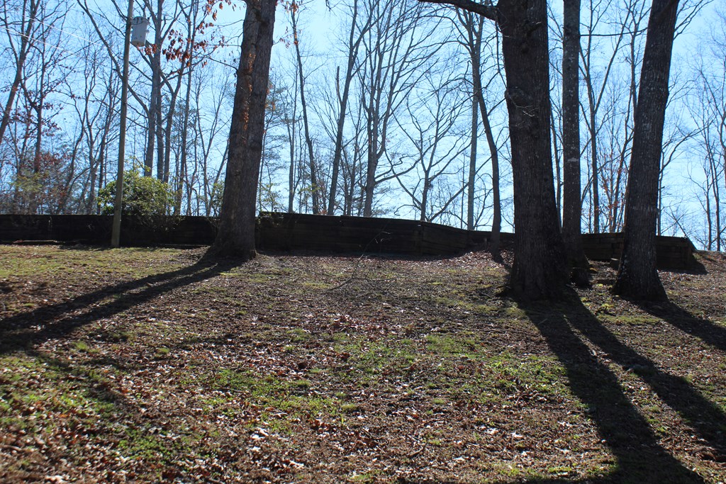 1017 Laurel Branch Road Property Photo 18