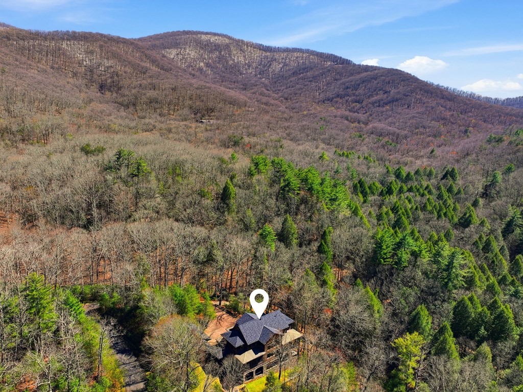 124 Wilderness Way Property Photo 95