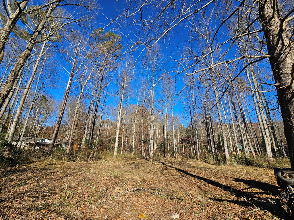 0 Mountain Meadows Drive W Property Photo 3