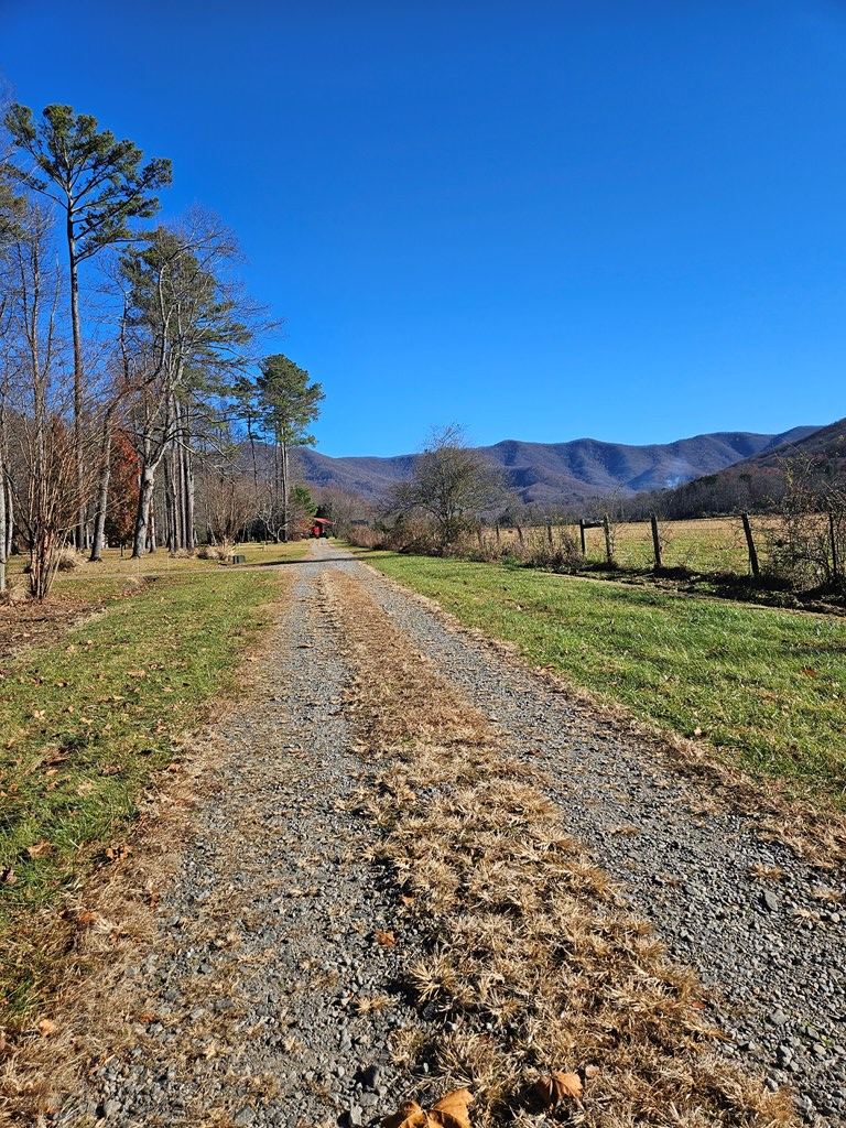 0 Mountain Meadows Drive W Property Photo 8