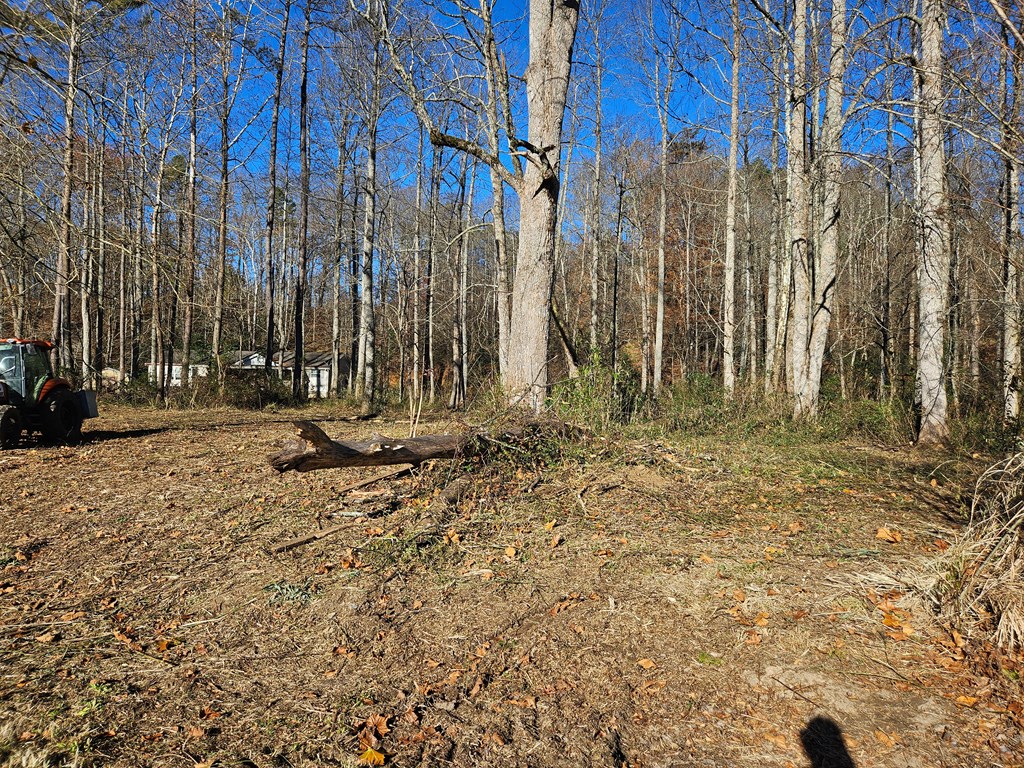 0 Mountain Meadows Drive W Property Photo 9