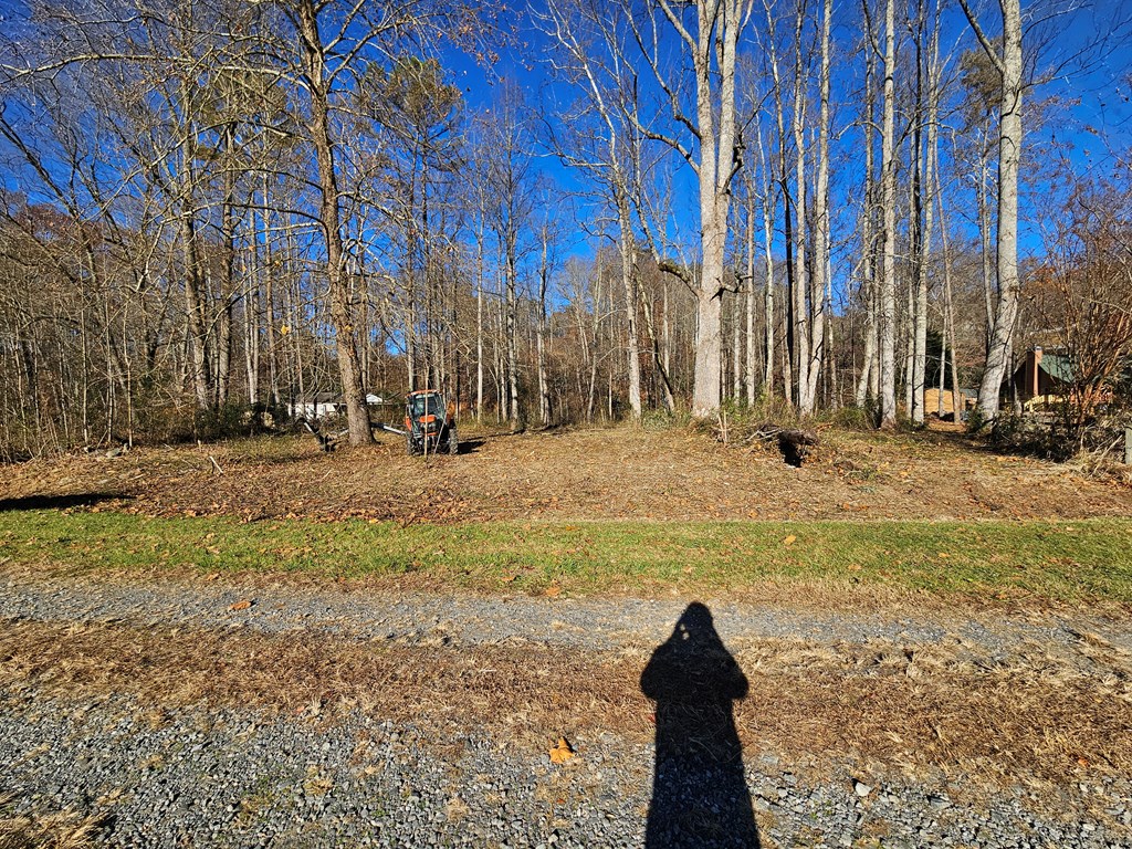 0 Mountain Meadows Drive W Property Photo 11